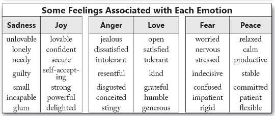 Feelings are the labels we attach to our emotions.