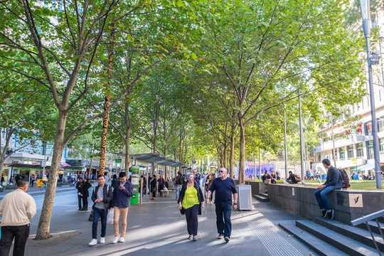 Increasing Tree Cover May Be Like A Superfood For Community Mental Health