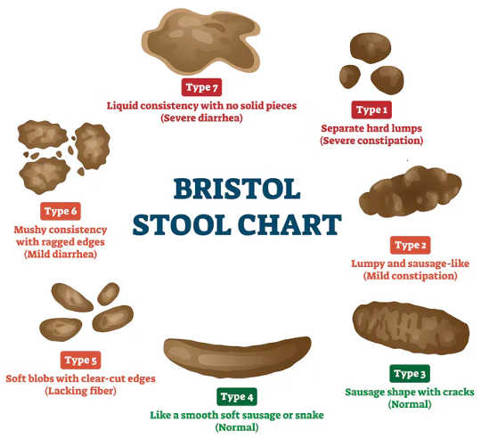 Bristol Stool Chart. If you’re hitting around a 4, you should be good. 