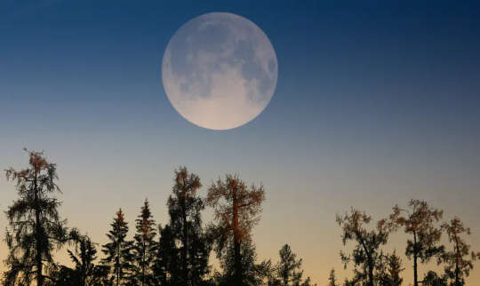 Supermoon: How An Illusion Makes The Full Moon Appear Bigger Than It Really Is